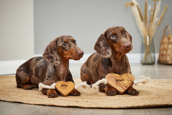 Wolters Olivi Tau Spiezeug Herz