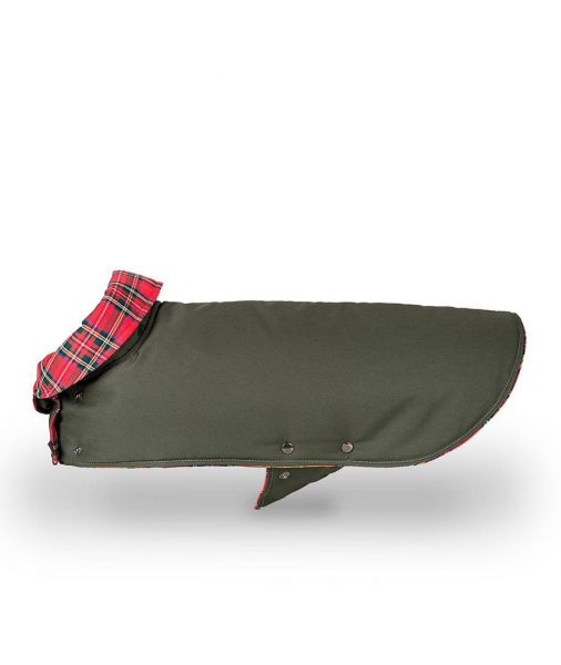 Brottdog dog coat Tremp green