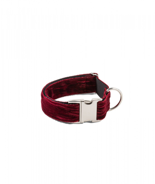 Brott Halsband Textura Biure