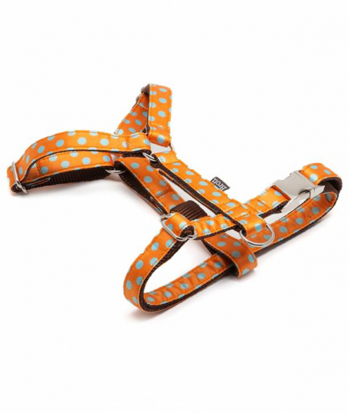 Brott H-Harness Textura Pola