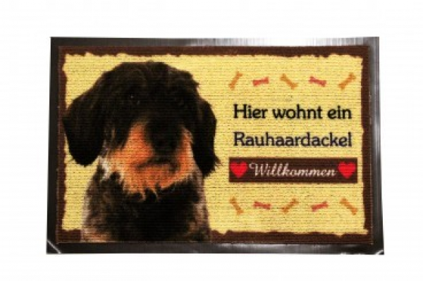 Doormat Rauhaardackel