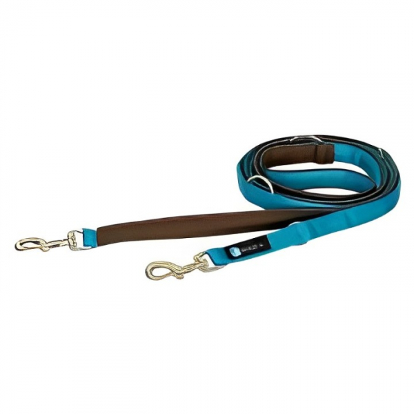 leash brown Petrol