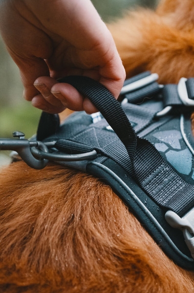 Hurtta Geschirr Weekend Warrior harness schwarz