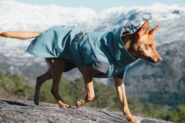 Prinz Poldi Hunde Shop Hurtta Expedition parka Brombeere