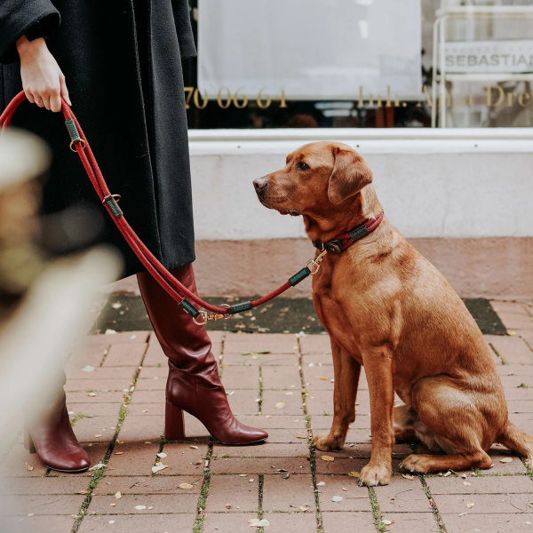 Hunter Training leash Malia   wine red/dark brown