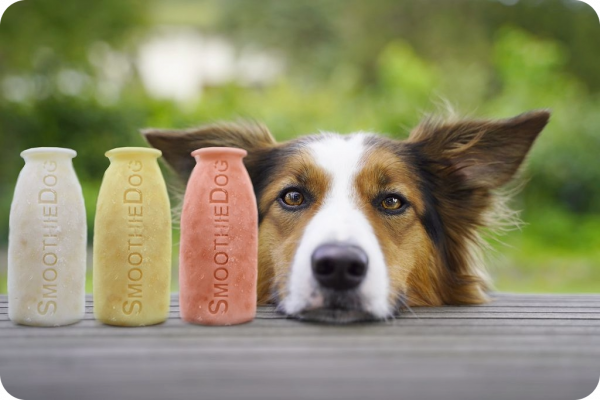 SmoothieDog iceform