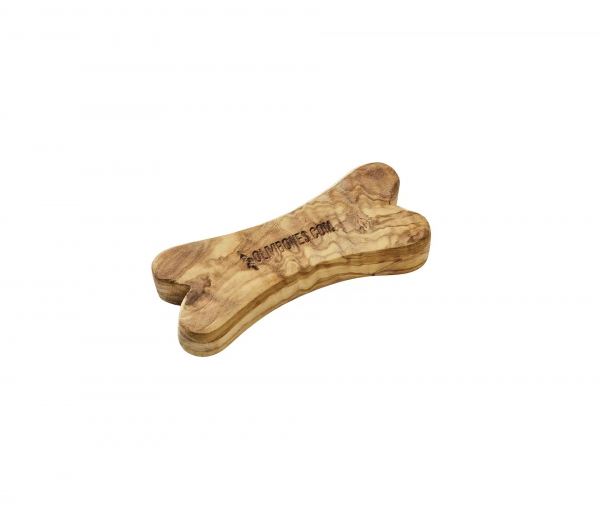 Wolters Olivi bone