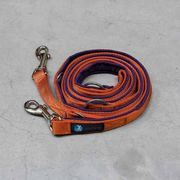 leash brown Ahorn