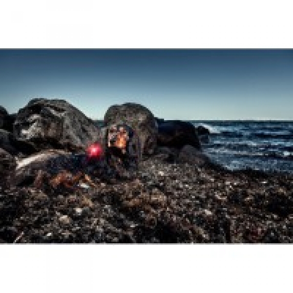 Orbiloc Dual dog lamp | pink