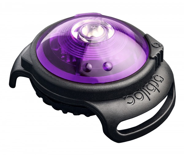 Orbiloc Dual dog lamp | purple
