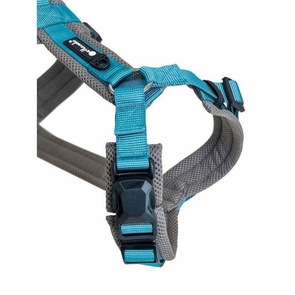 Petlando Magnetech Y - Comfort Geschirr Anthrazit/Petrol