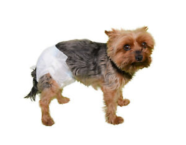 Vetlando Diaper for female dogs