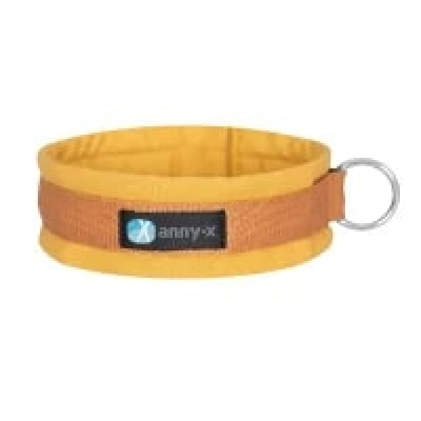 Anny X dog collar Fun goldbell