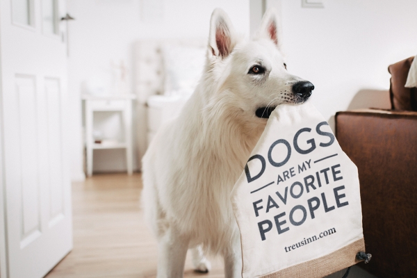 Treusinn ECO Gymbag Canvas "Dogs are my favorite people"