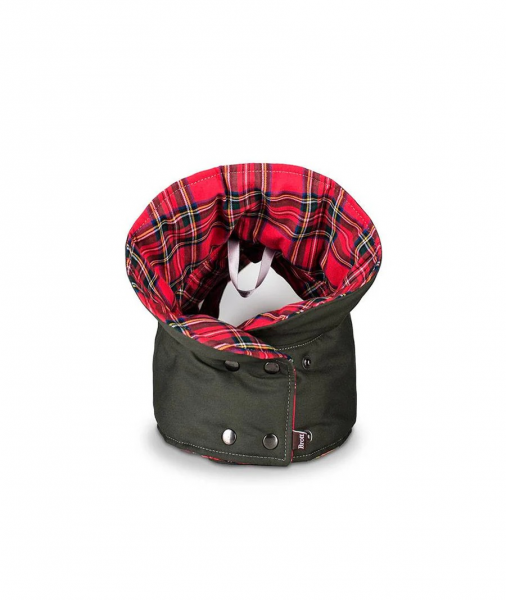 Brottdog dog coat Tremp green