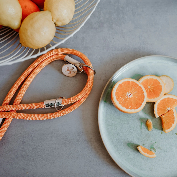 Hunter Training leash Malia  apricot/nature