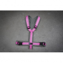 Harness Fun grey/rose
